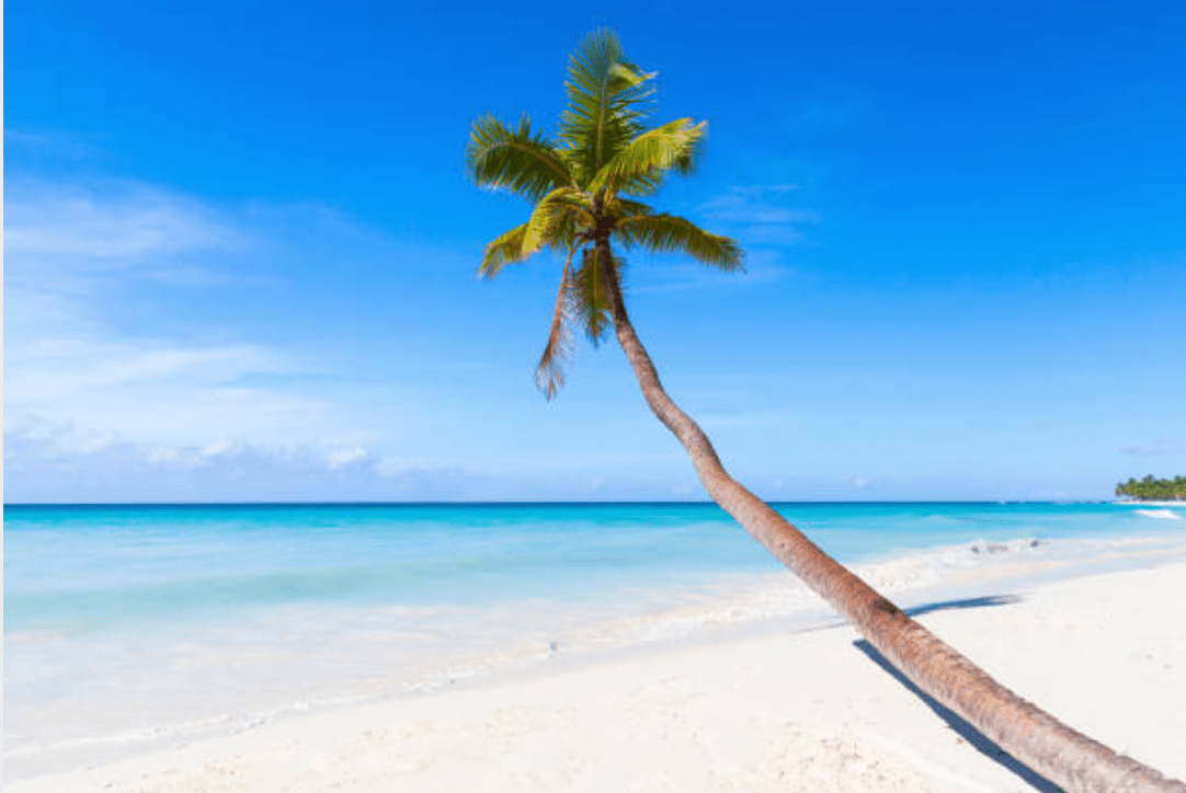 vista en playa de la isla saona