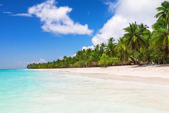 playa de isla saona