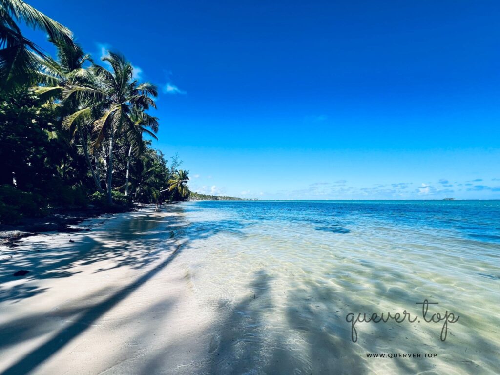 vista orilla playa bavaro beach