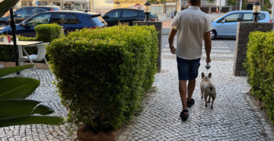 casablanca inn con mi mascota